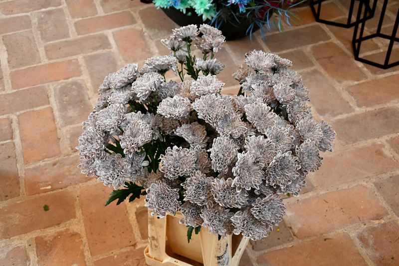 Autors: Ivars Bogdanovs