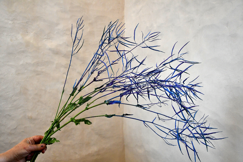 Autors: Ivars Bogdanovs