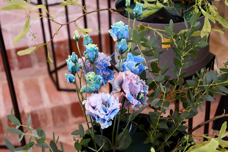 Autors: Ivars Bogdanovs