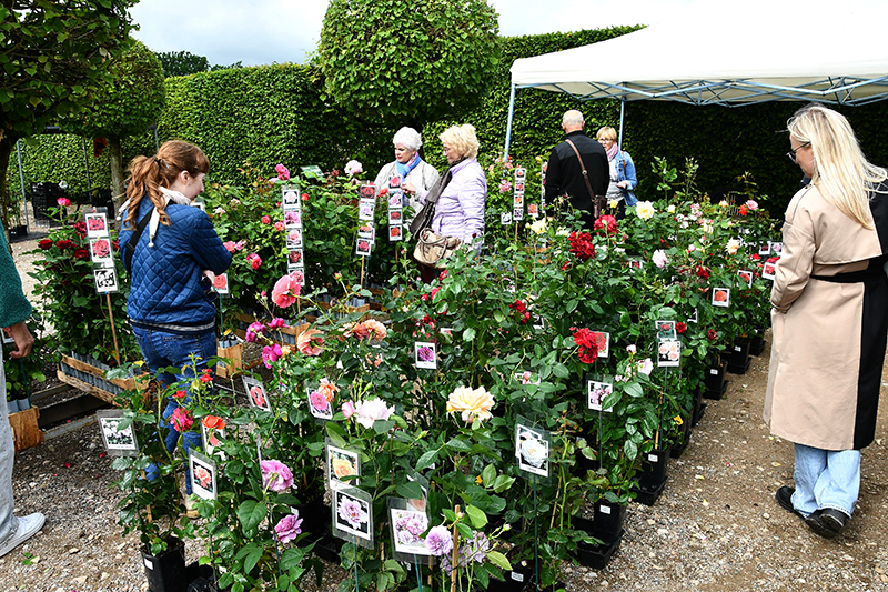 Autors: Ivars Bogdanovs