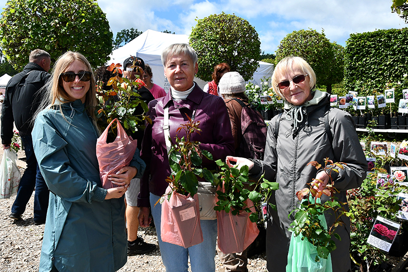 Autors: Ivars Bogdanovs