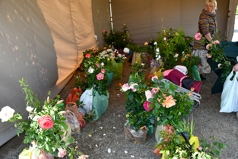 Autors: Ivars Bogdanovs