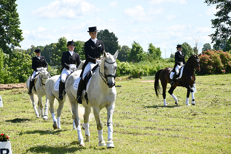 Autors: Ivars Bogdanovs