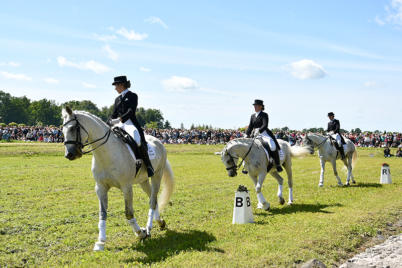 Autors: Ivars Bogdanovs