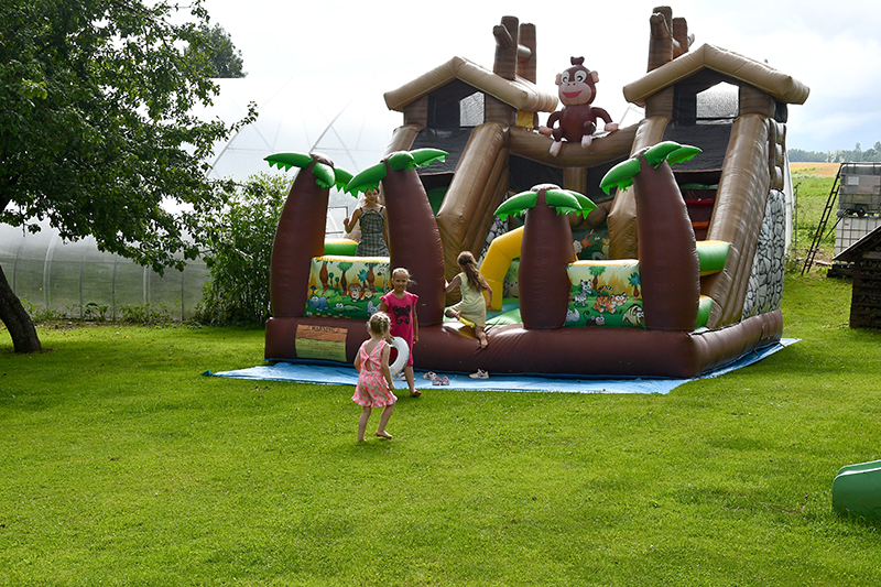 Autors: Ivars Bogdanovs