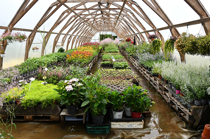 Autors: Ivars Bogdanovs