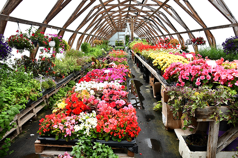 Autors: Ivars Bogdanovs