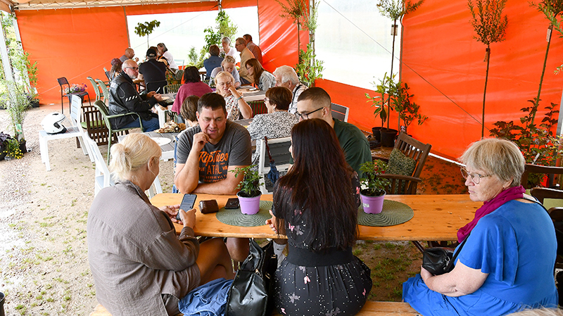 Autors: Ivars Bogdanovs