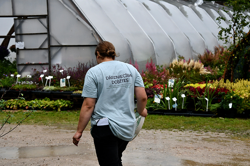 Autors: Ivars Bogdanovs