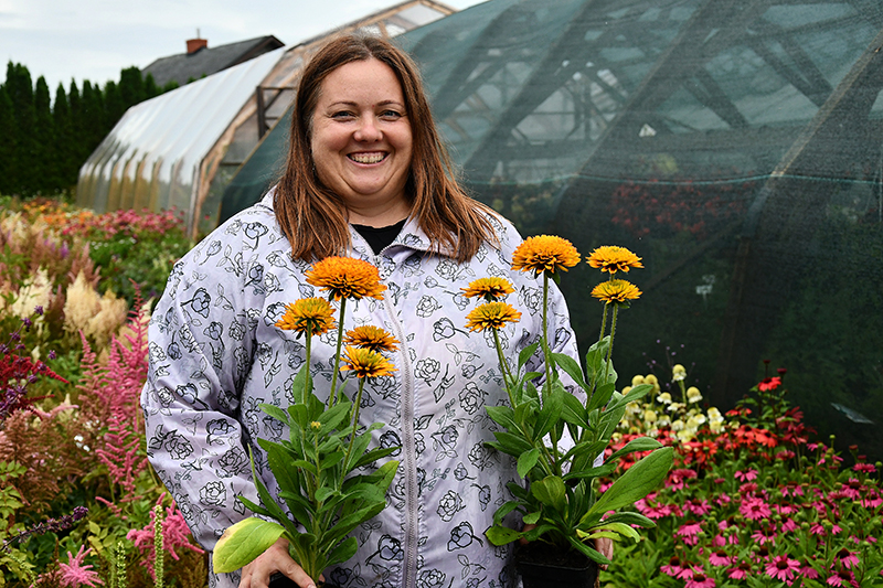 Autors: Ivars Bogdanovs