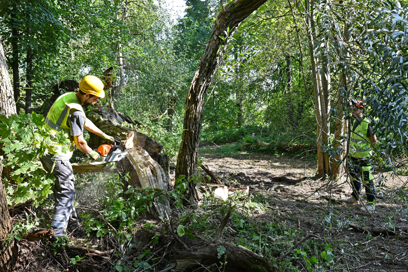 Autors: Ivars Bogdanovs
