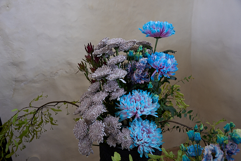 Autors: Ivars Bogdanovs