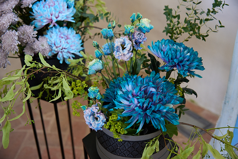 Autors: Ivars Bogdanovs