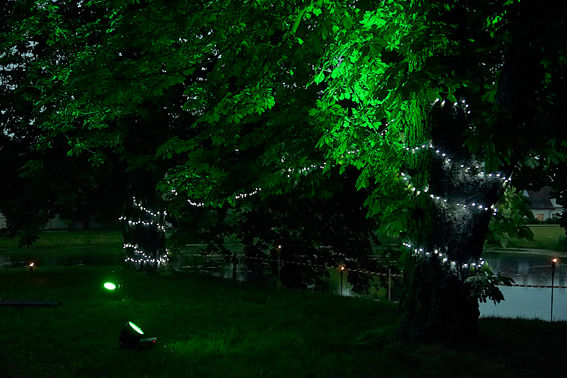 Autors: Ivars Bogdanovs