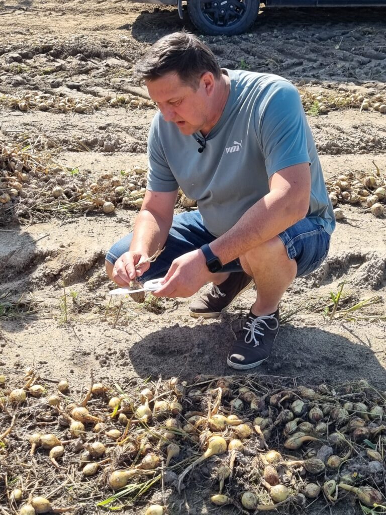 Autors: Publicitātes foto