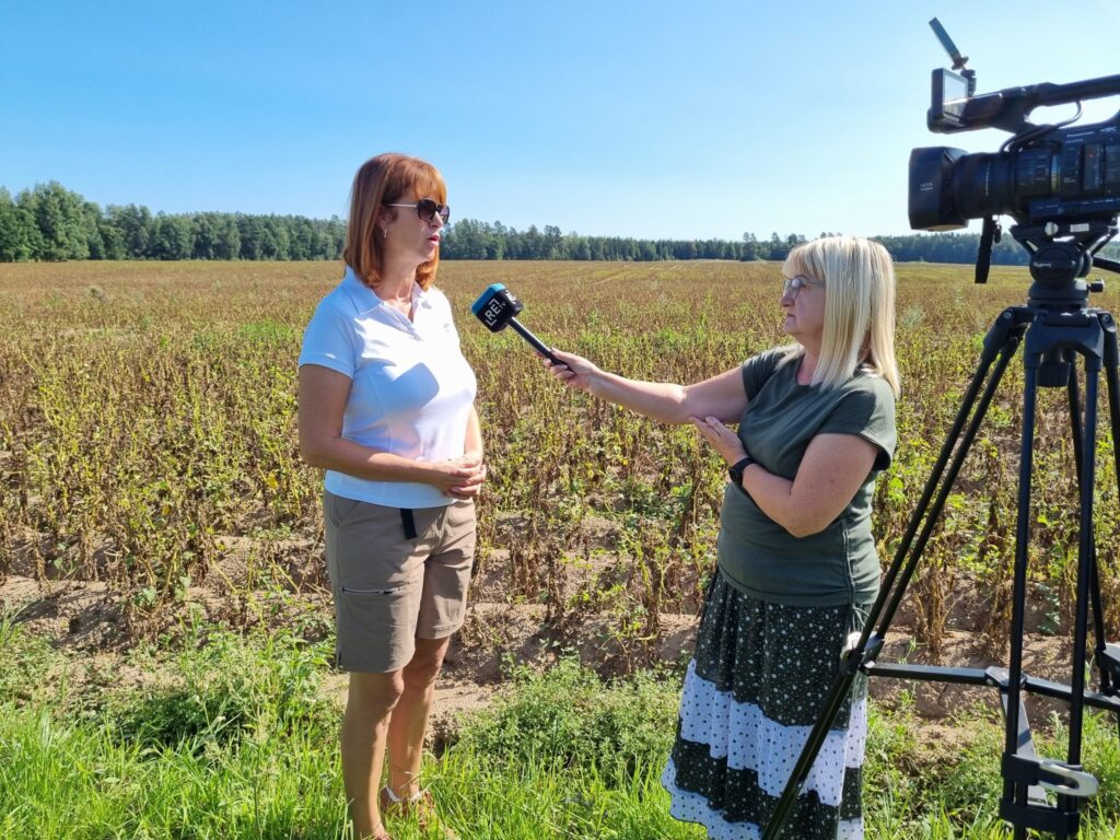 Autors: Publicitātes foto