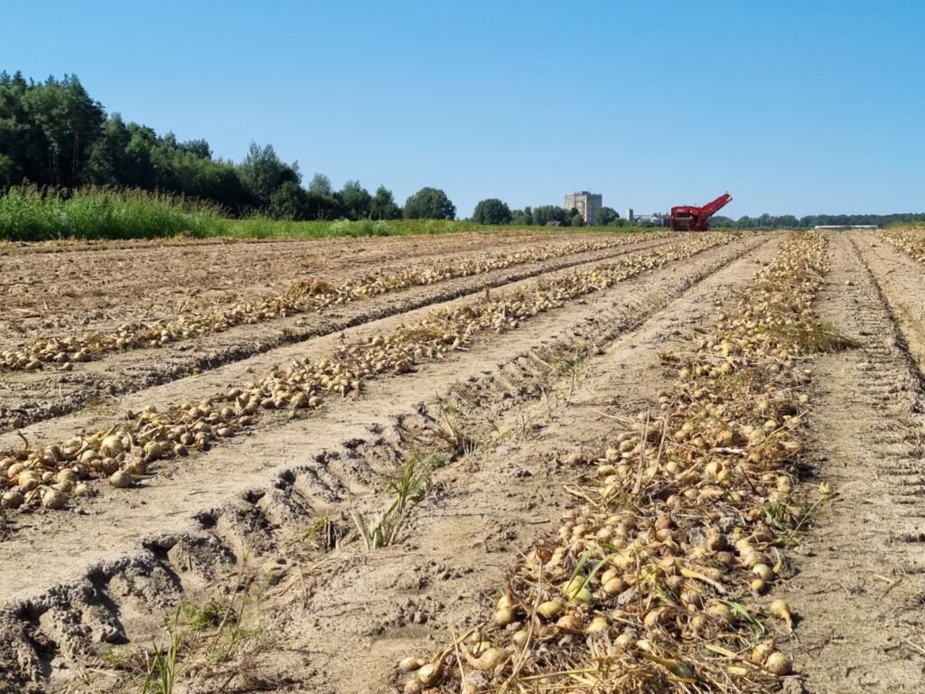 Autors: Publicitātes foto