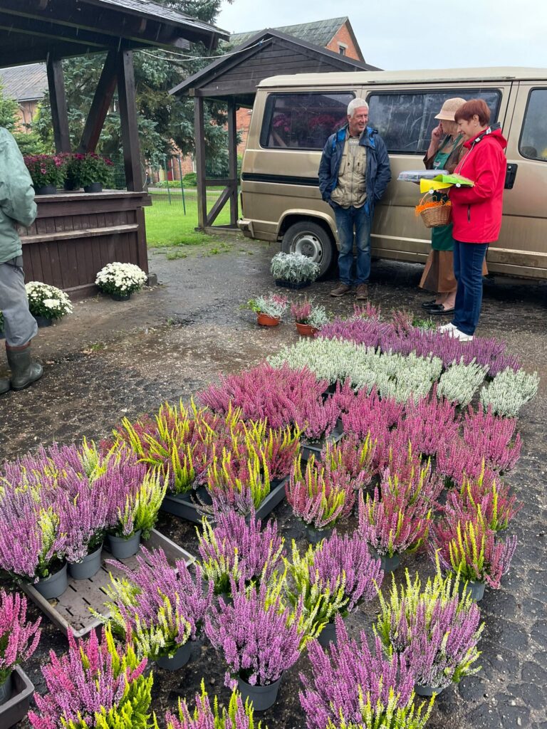 Lietuvieša Audra krāšņie virši. Foto:Ruta Dābola