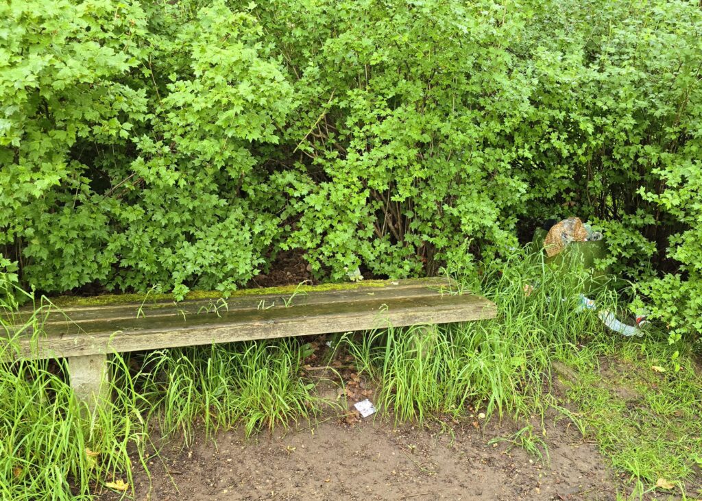 Autors:  www.bauskasdzive.lv