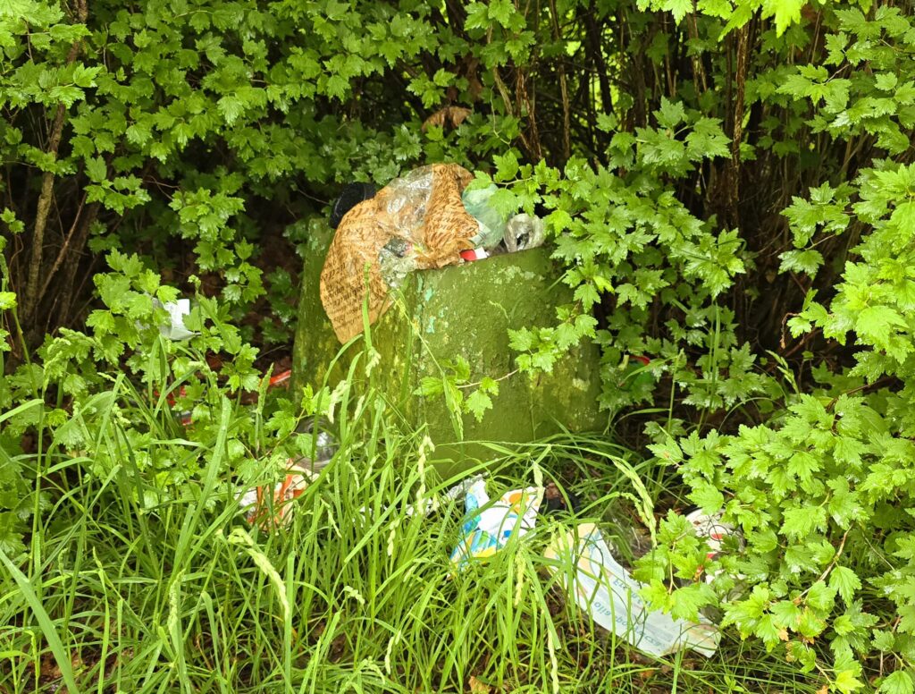 Autors:  www.bauskasdzive.lv