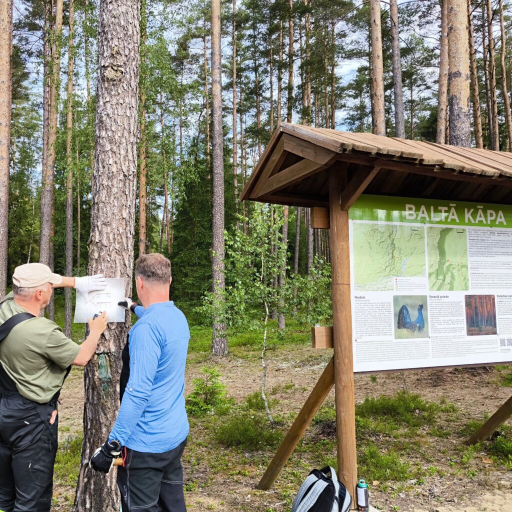Aluksniesiem.lv raksta attēla aizvietotājs