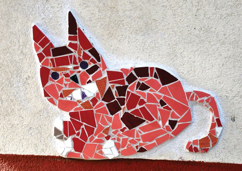 Viens no desmit bērnudārza kaķiem, kuri gan guļ, gan sēž, gan lec, gan lido.