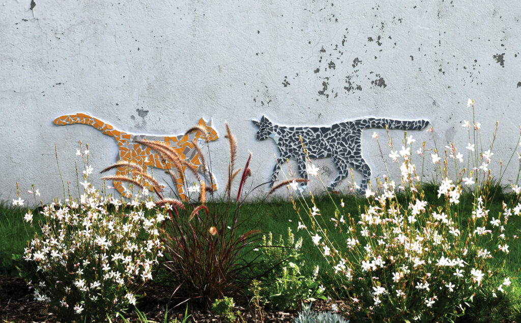 Kalna ielā divi kaķi satikās un brīnījās. Viens tik ļoti atgādina vecozēnu Rūdi, Rātslaukuma simbolu.