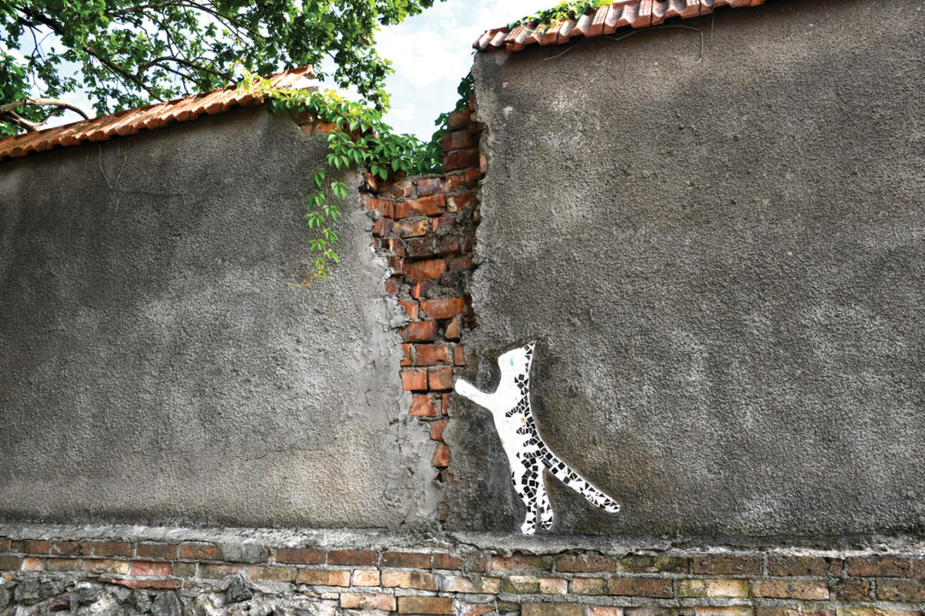 Mozaīkkaķis defektu pārvērtis savdabīgā efektā.