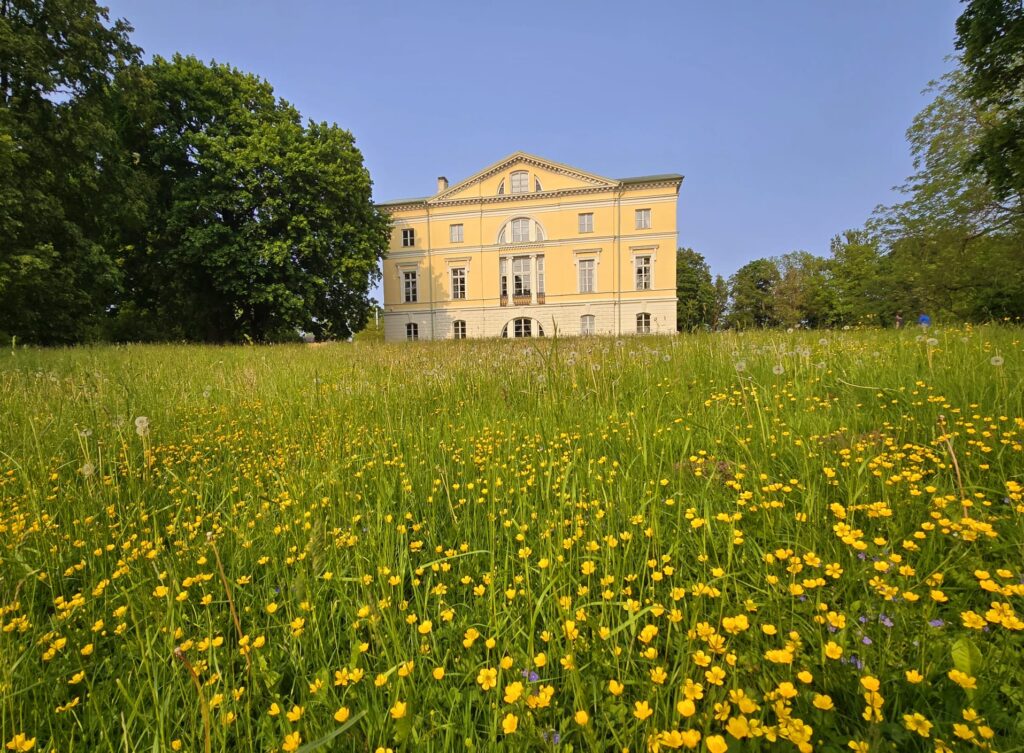 Autors:  www.bauskasdzive.lv