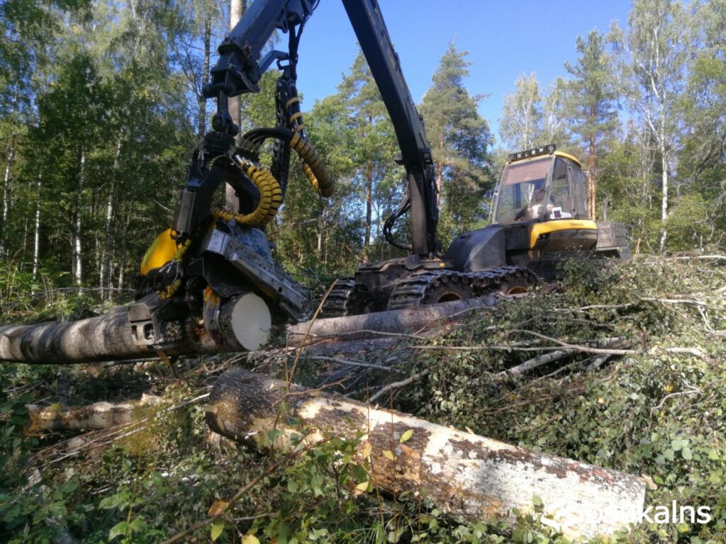 Aluksniesiem.lv raksta attēla aizvietotājs