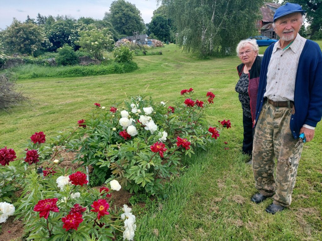 Kolekcionārs izceļ peoniju dobi Latvijas karoga krāsās – tumšo puķi viņš atradis pie mājas logiem, atgriežoties senču īpašumā 90. gados.
Autors: Antra Ērgle