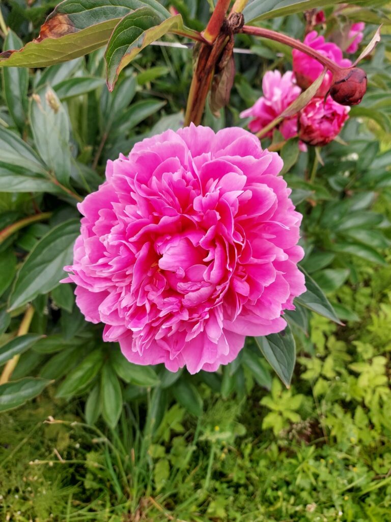 Autors: Antra Ērgle