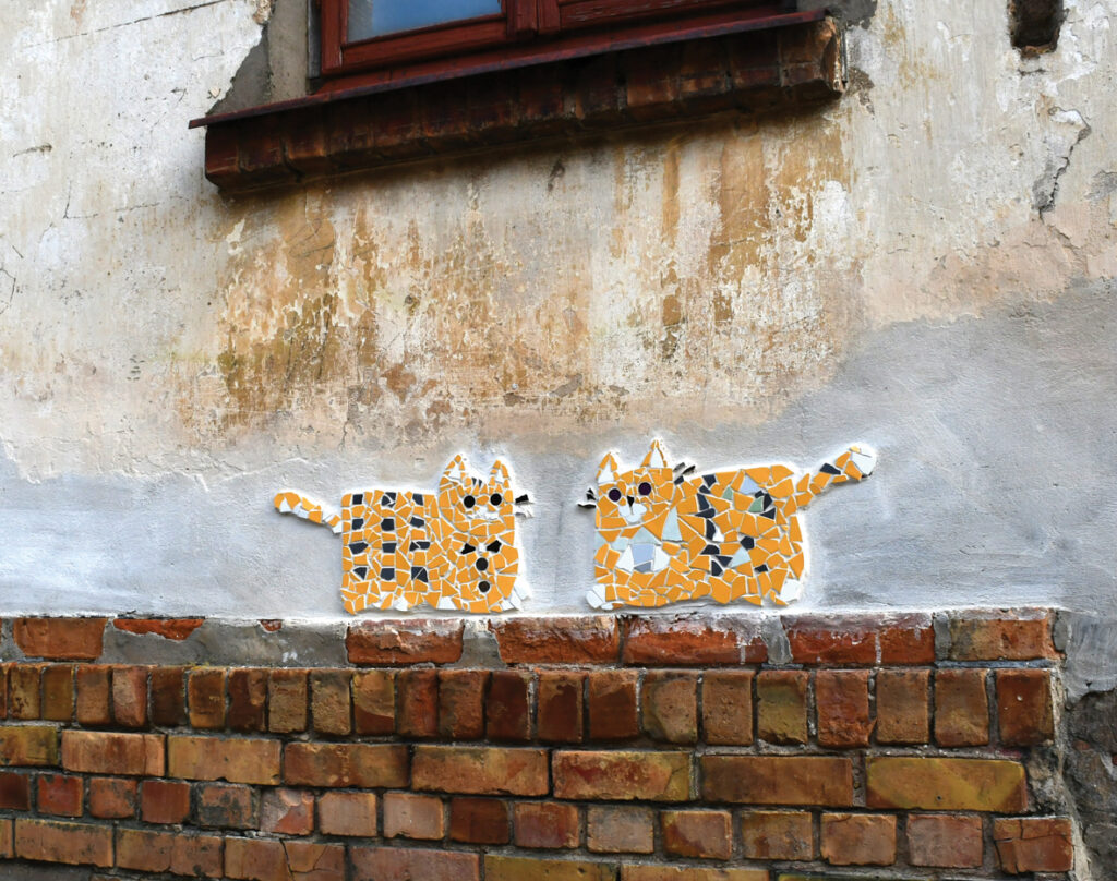 Sebastjana (tā saucot zīmējuma autoru) spilvenkaķi. Foto: Ivars Bogdanovs