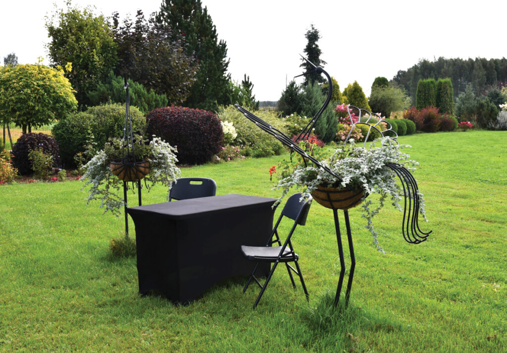 Senos laikos dzērves dēvējuši par klurģiem. Kokaudzētavas dārzā uz dzīvi apmetušies pieci šādi dekoratīvi putni, bet mūsu sarunas laikā arī pār māju aizplīvo piecu dzērvju kāsis.  
Autors: Foto – Ivars Bogdanovs