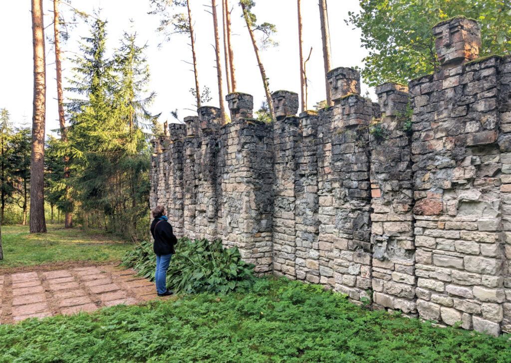 Aluksniesiem.lv raksta attēla aizvietotājs