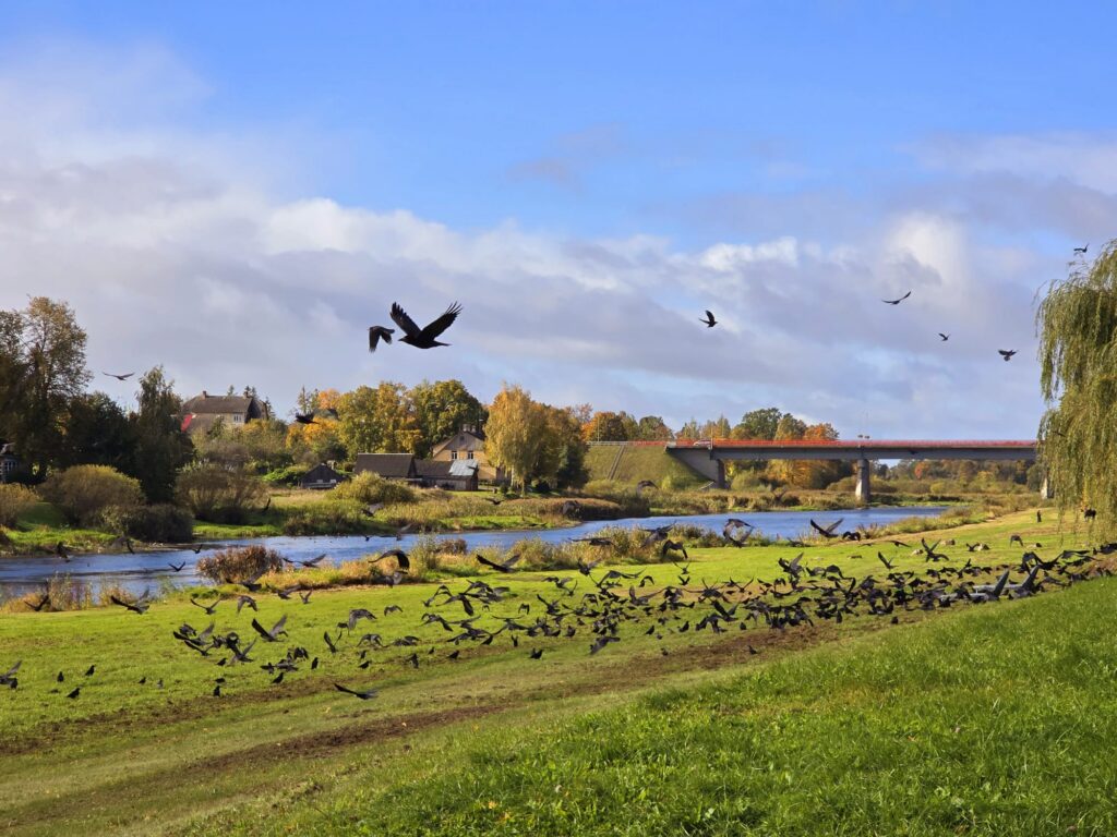 Aluksniesiem.lv raksta attēla aizvietotājs