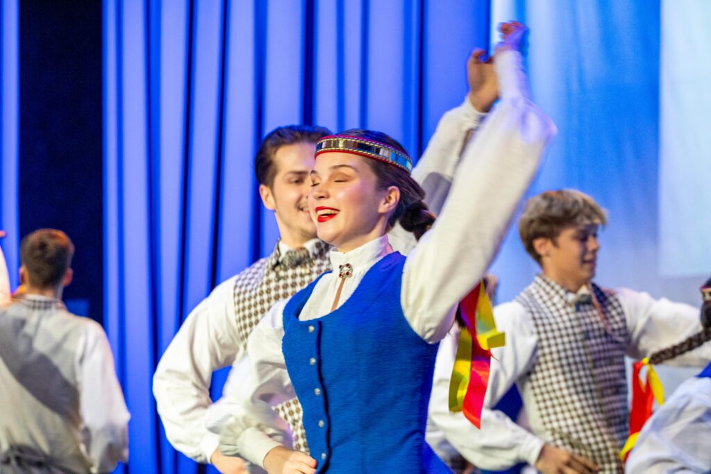 Aluksniesiem.lv raksta attēla aizvietotājs