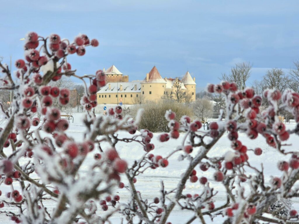 Aluksniesiem.lv raksta attēla aizvietotājs