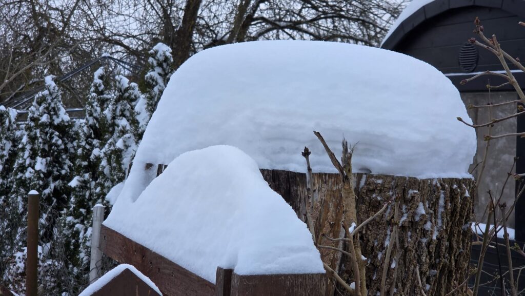 Foto: Uldis Varnevičs