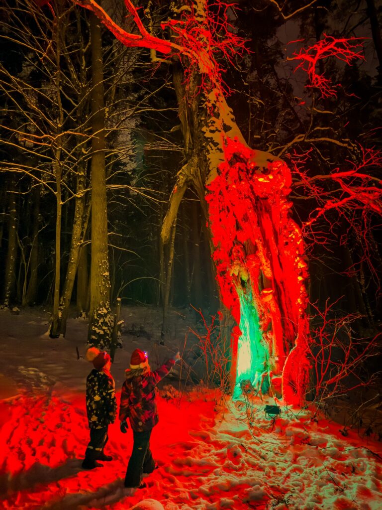 Aluksniesiem.lv raksta attēla aizvietotājs